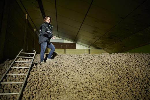 Winter Op De Boerderij Plant Pulse